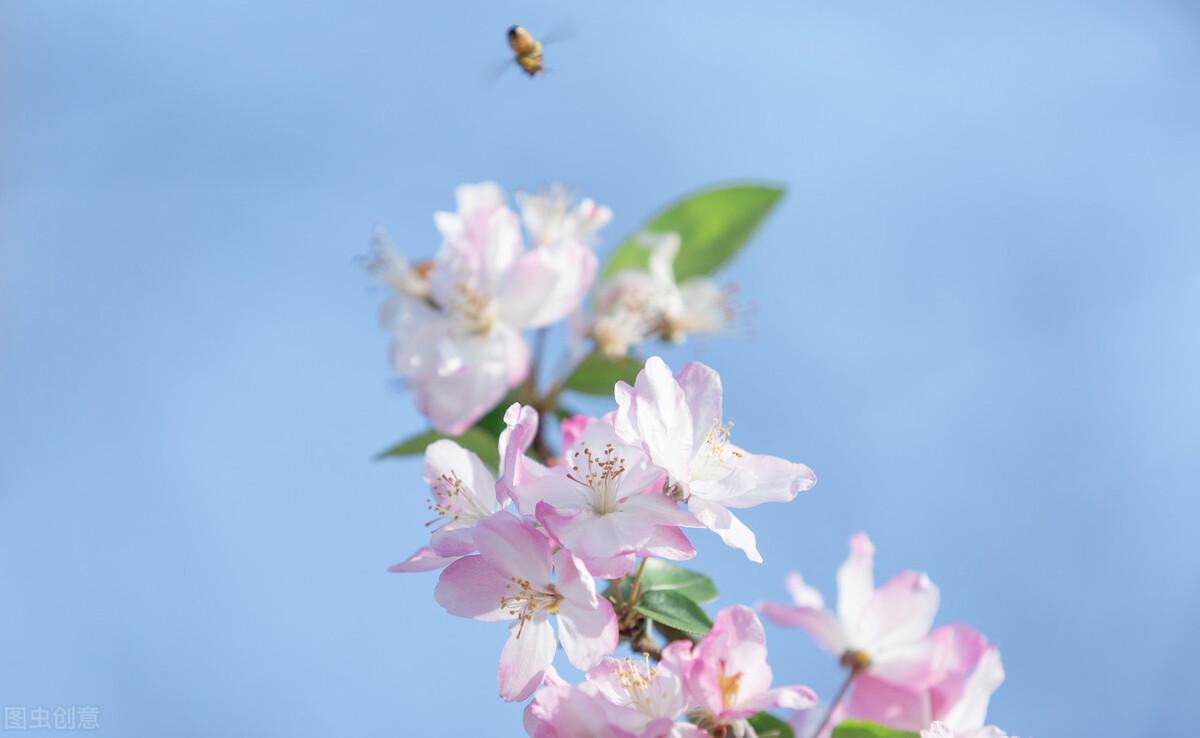 拼多多登陆设备怎么查看？拼多多删除登录信息的方法教程