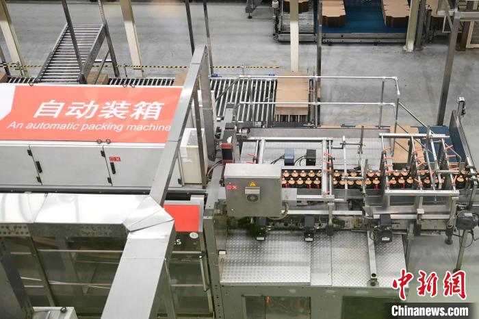 (高质量发展调研行)年产值超250亿元!“酱油一哥”海天的数智化“焕新”路