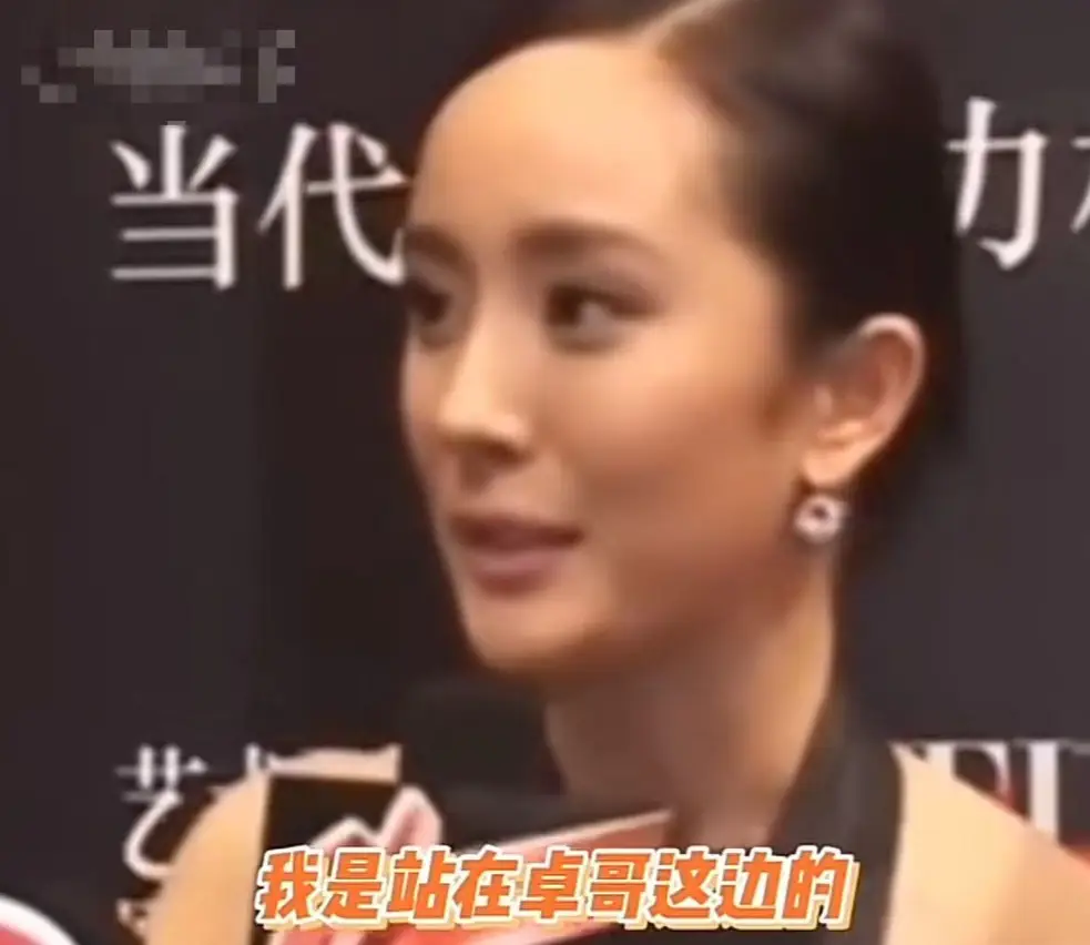 宁愿退圈也要说出真相,如果梅艳芳还在,赵文卓不至于没落至此