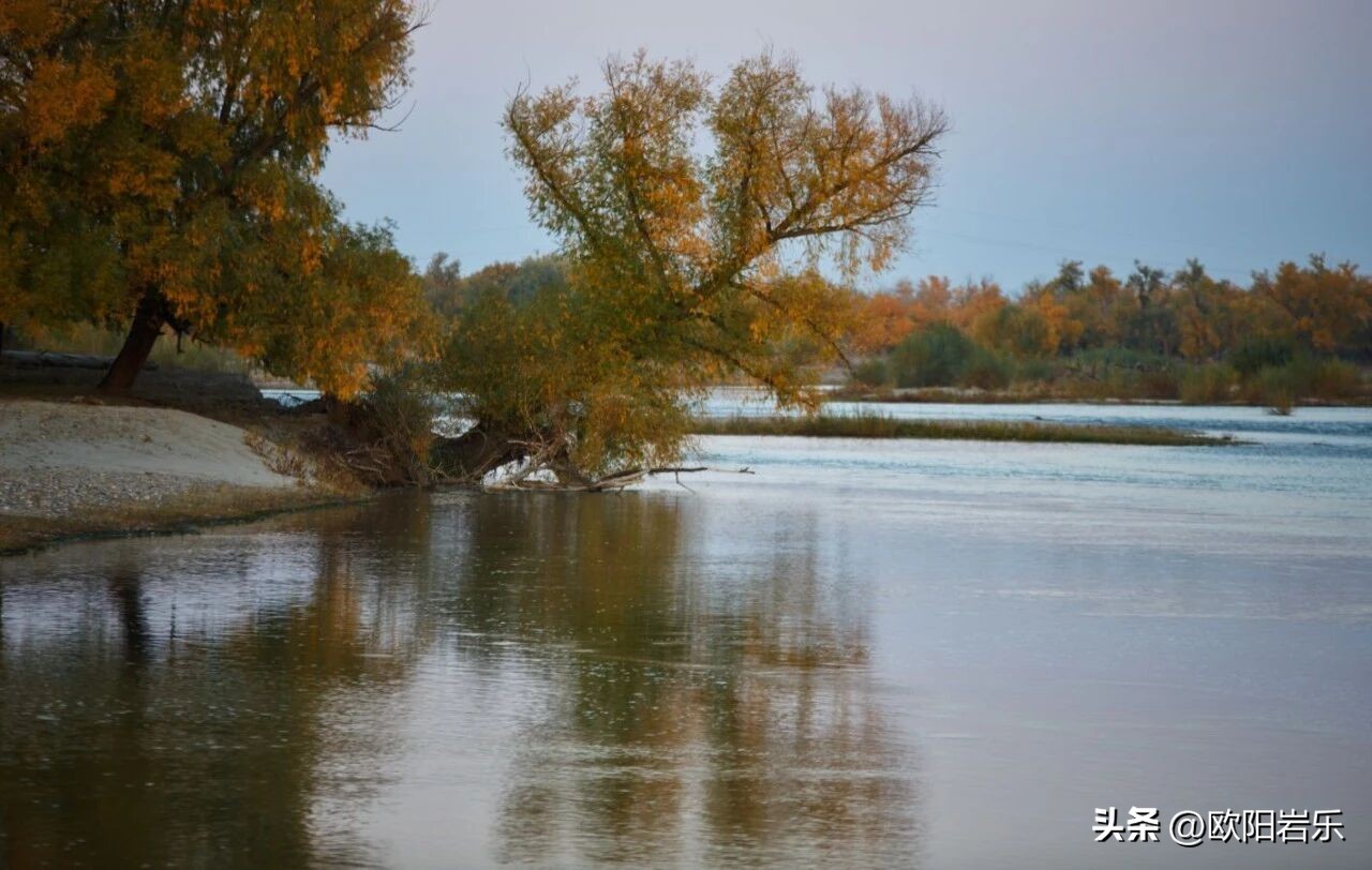 拍照巧用摄影前景，让你的画面瞬间有质感