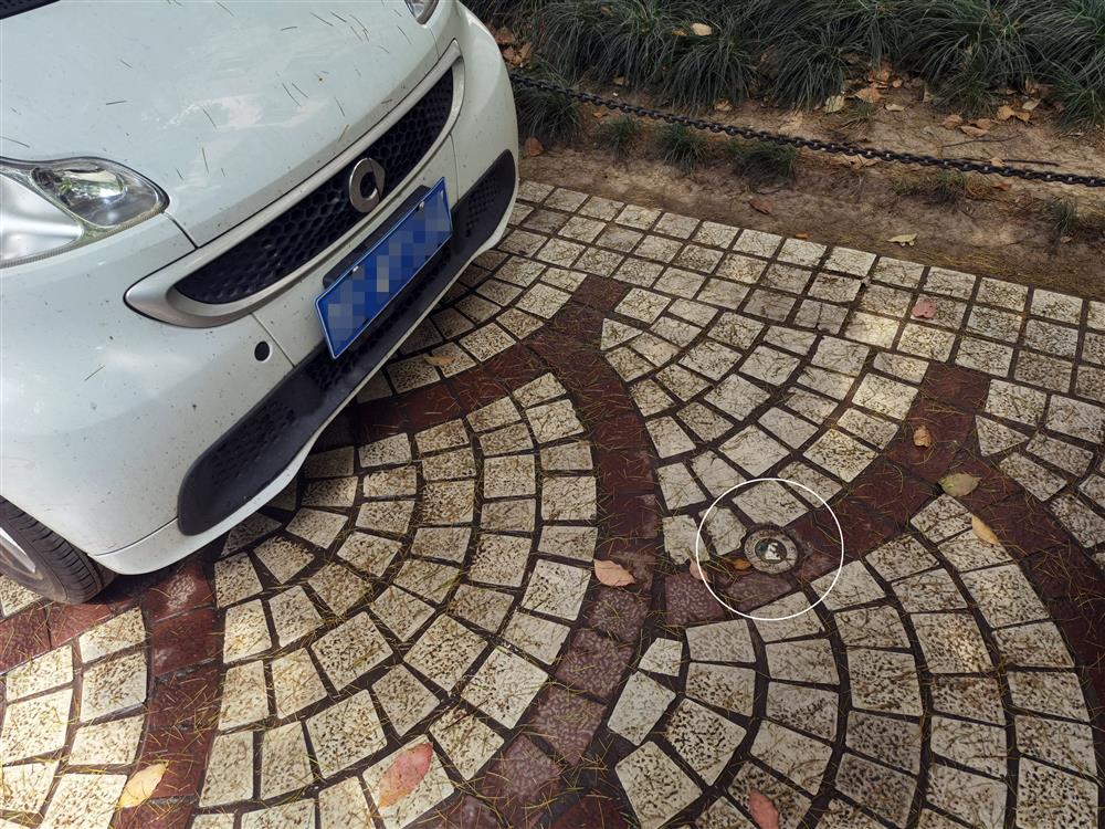 是推智慧物业，还是为卖货？上海一小区数字物业App内置购物功能惹争议