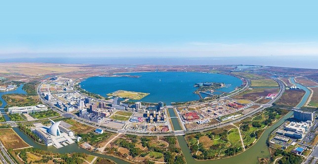 临港，为何成为上海最“火”的新城区