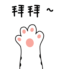 多猫家庭是什么体验?8年养猫人告诉你