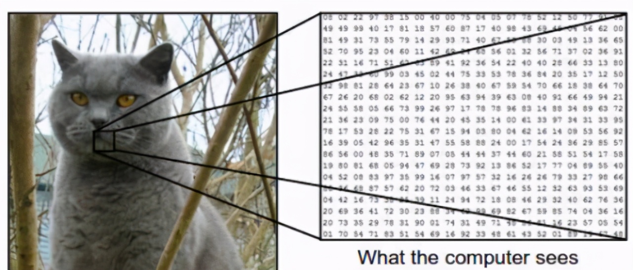 3D视觉CV界的终极体现形式,计算机如何「看」这个三维世界