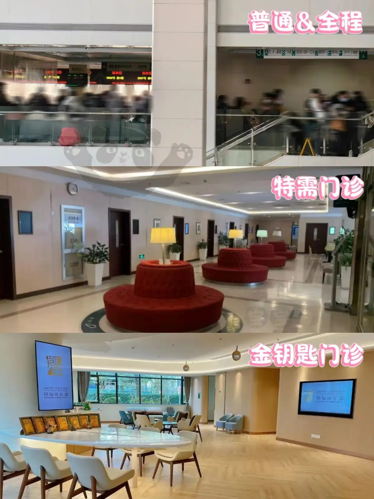 上海一妇婴东院四类门诊如何预约建大卡?普通门诊、全程门诊、特需门诊、金钥匙门诊对比分析