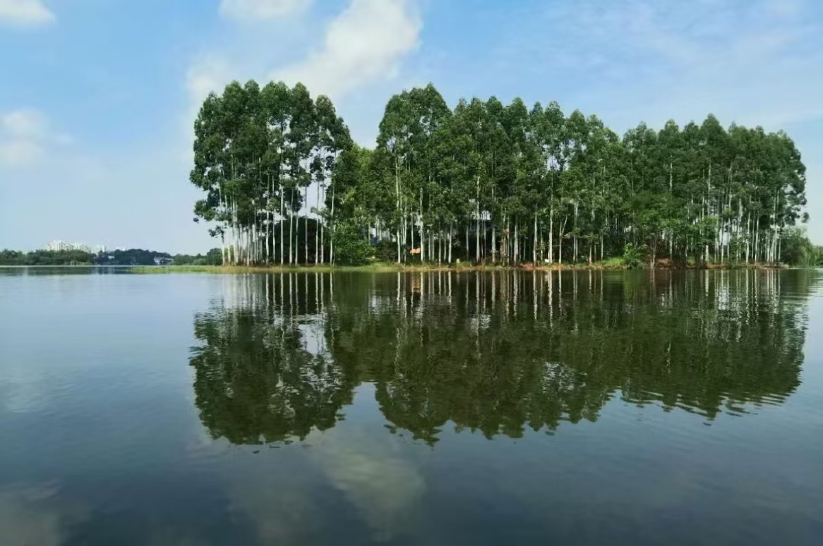 四川成都三岔湖