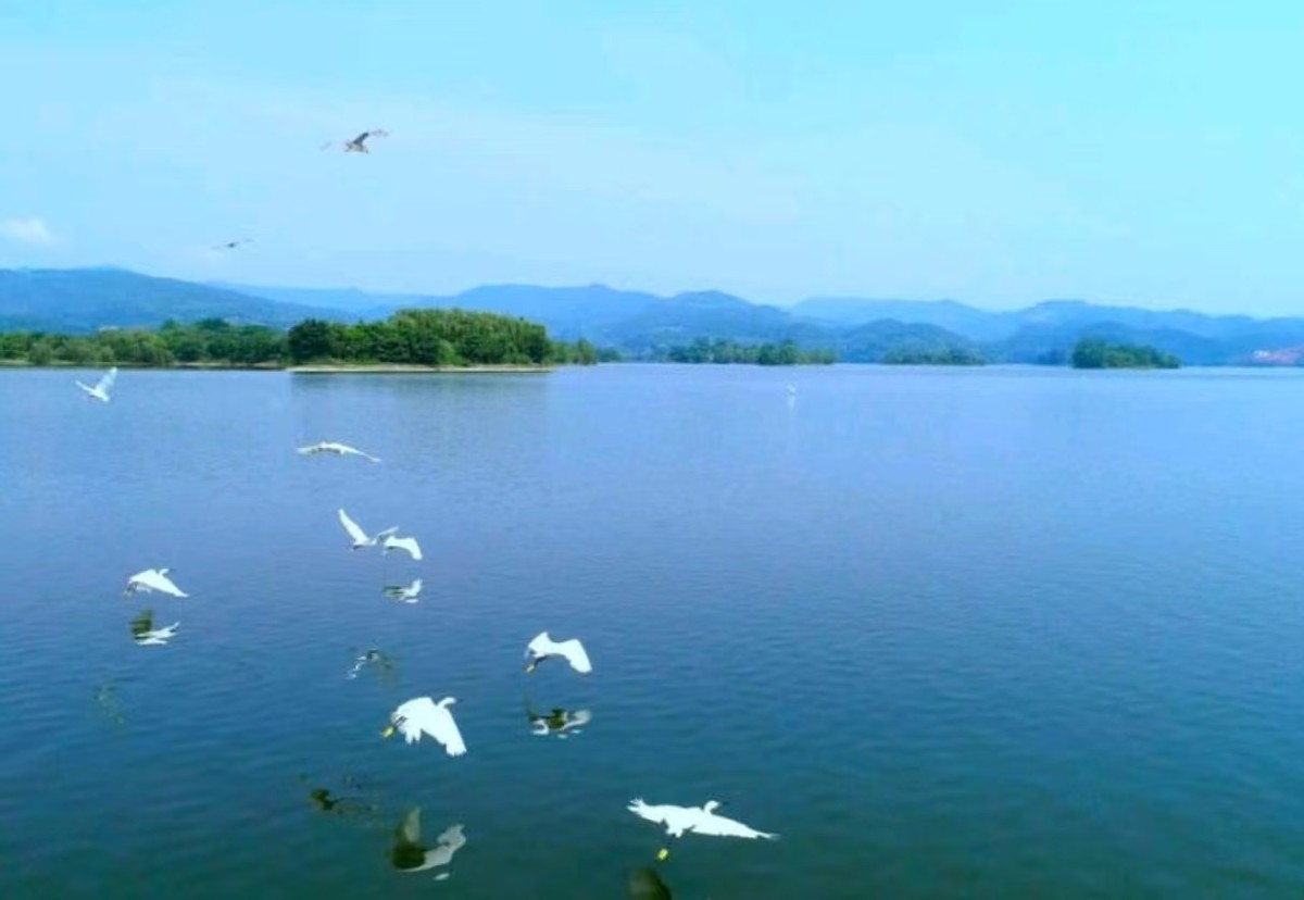 四川成都三岔湖