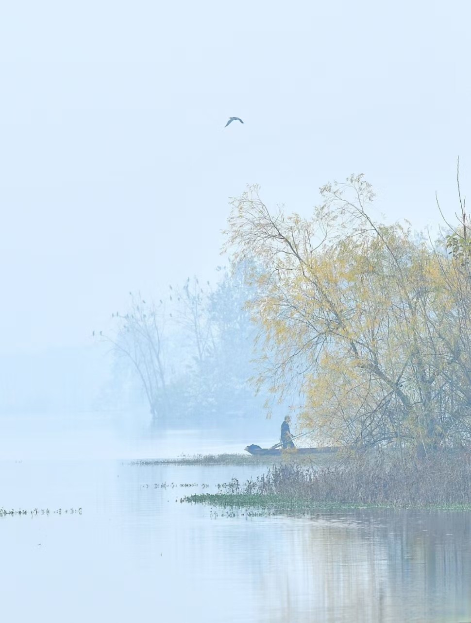 四川成都三岔湖