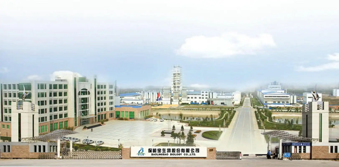 保龄宝创始人刘宗利，功能糖第一人的创业历程