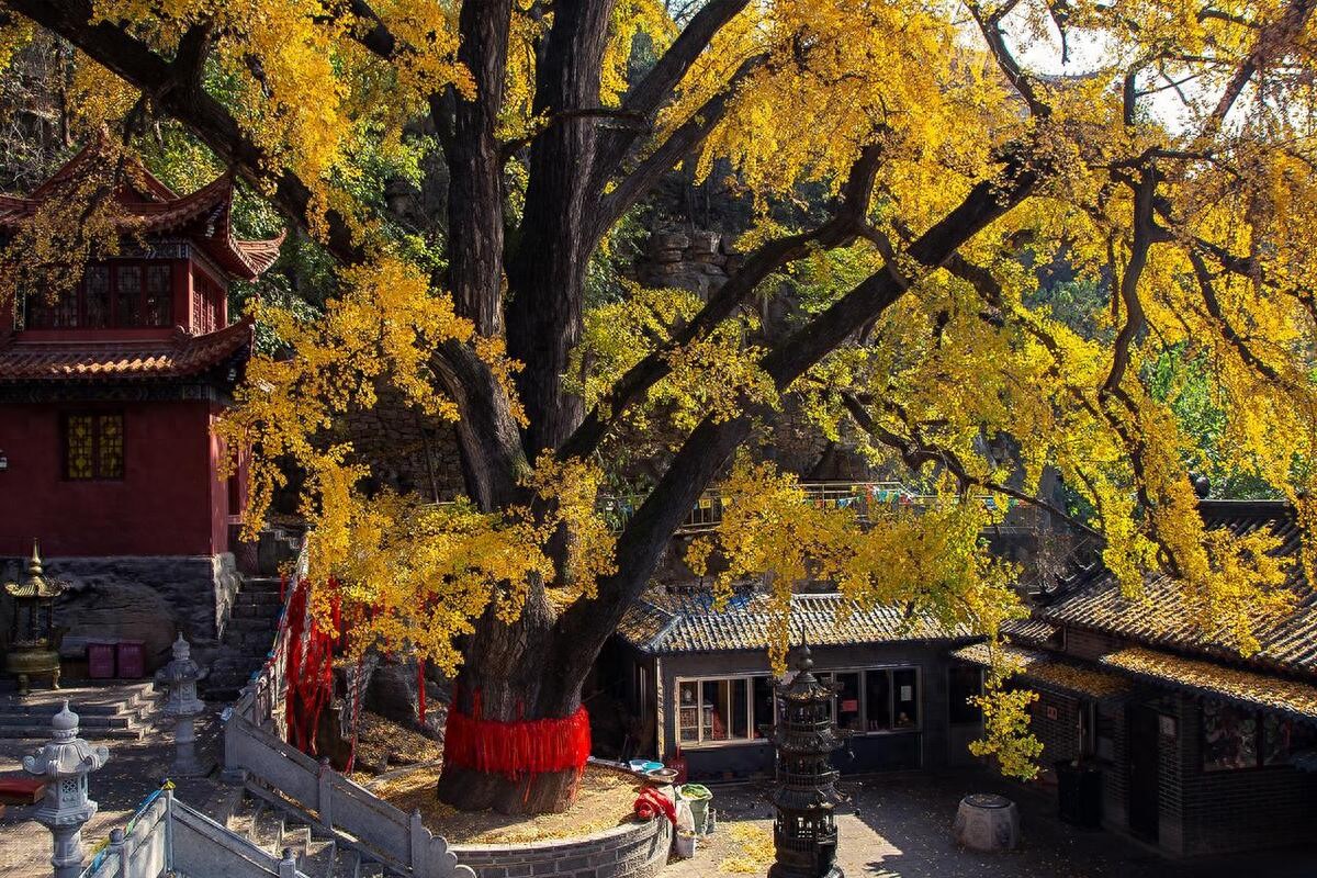 山东临沂:旅游去临沂,这么玩肯定行,内附超详细旅游攻略