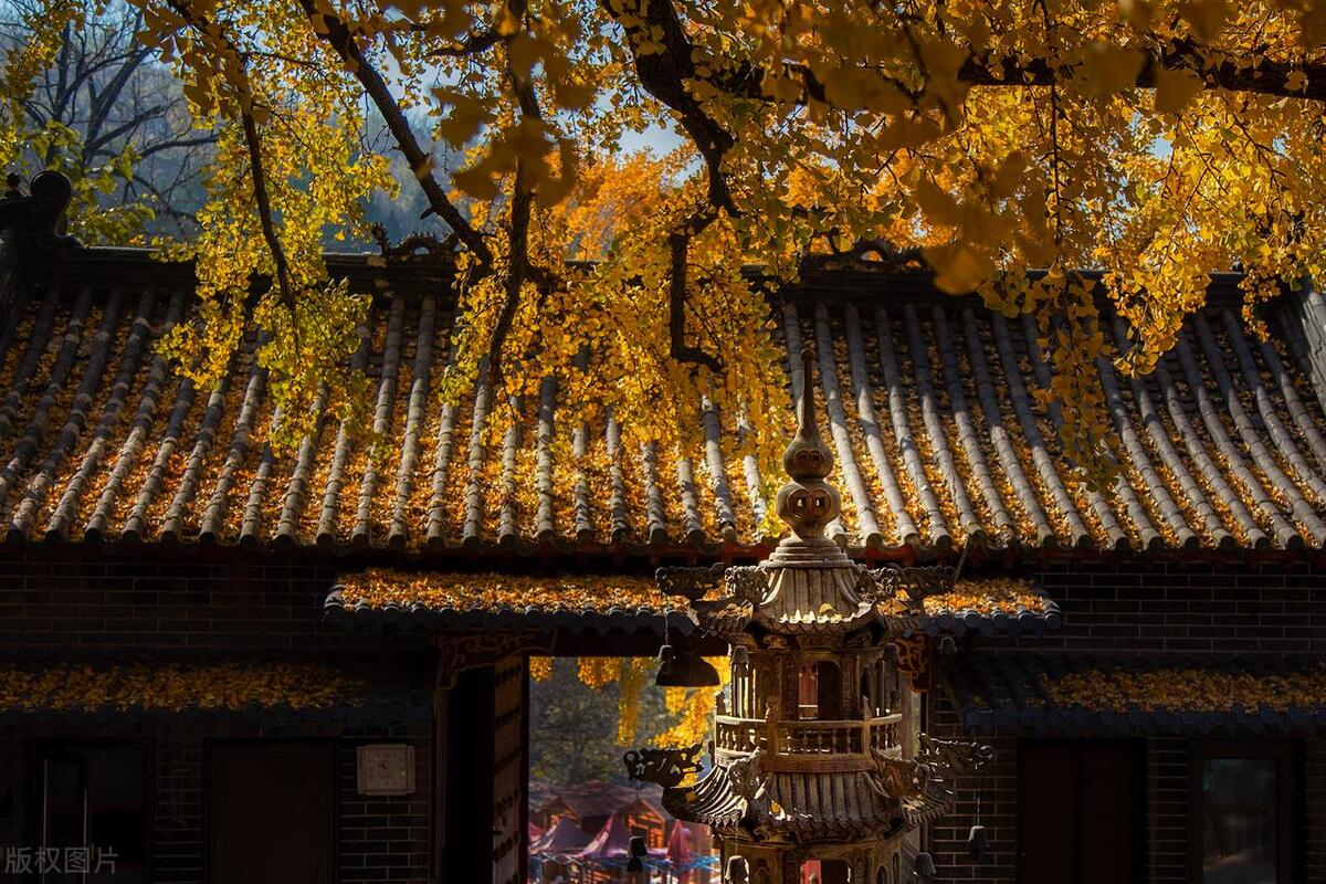 山东临沂:旅游去临沂,这么玩肯定行,内附超详细旅游攻略