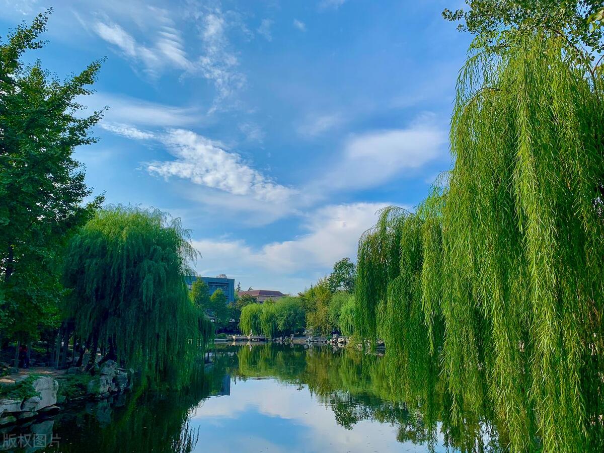 山东临沂:旅游去临沂,这么玩肯定行,内附超详细旅游攻略