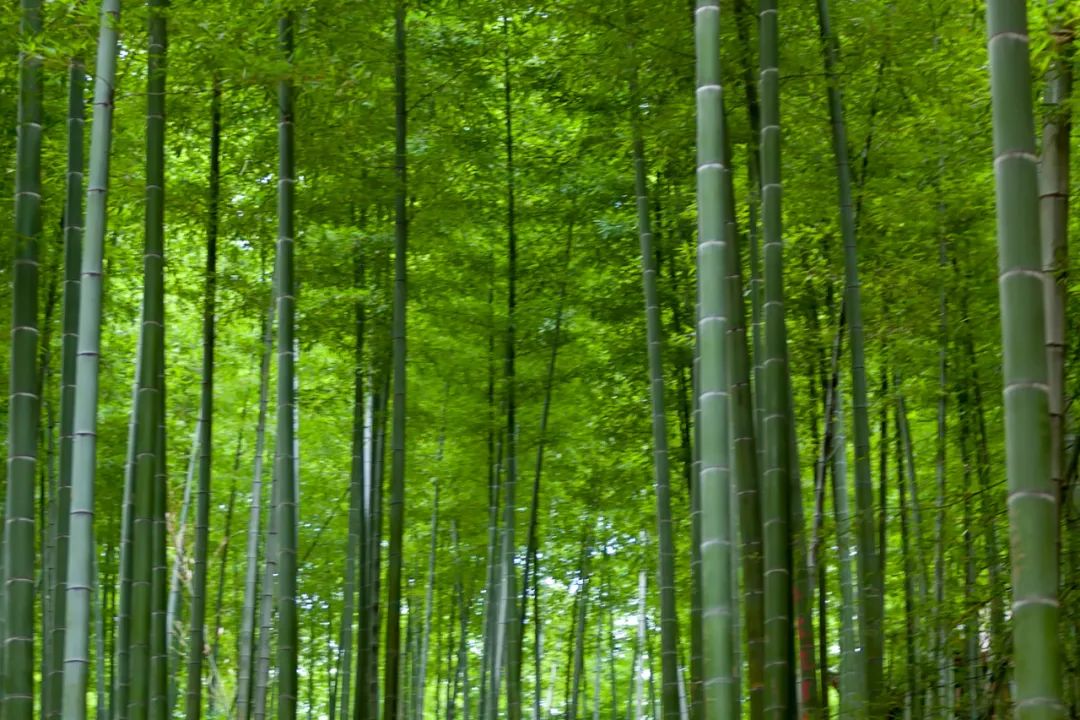 无锡最值得去的10个景点,最后一个不容错过,看看你去过几个?