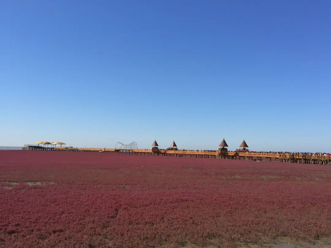 辽宁旅游最值得去的10大景点,玩遍辽宁,这些地方不可不去