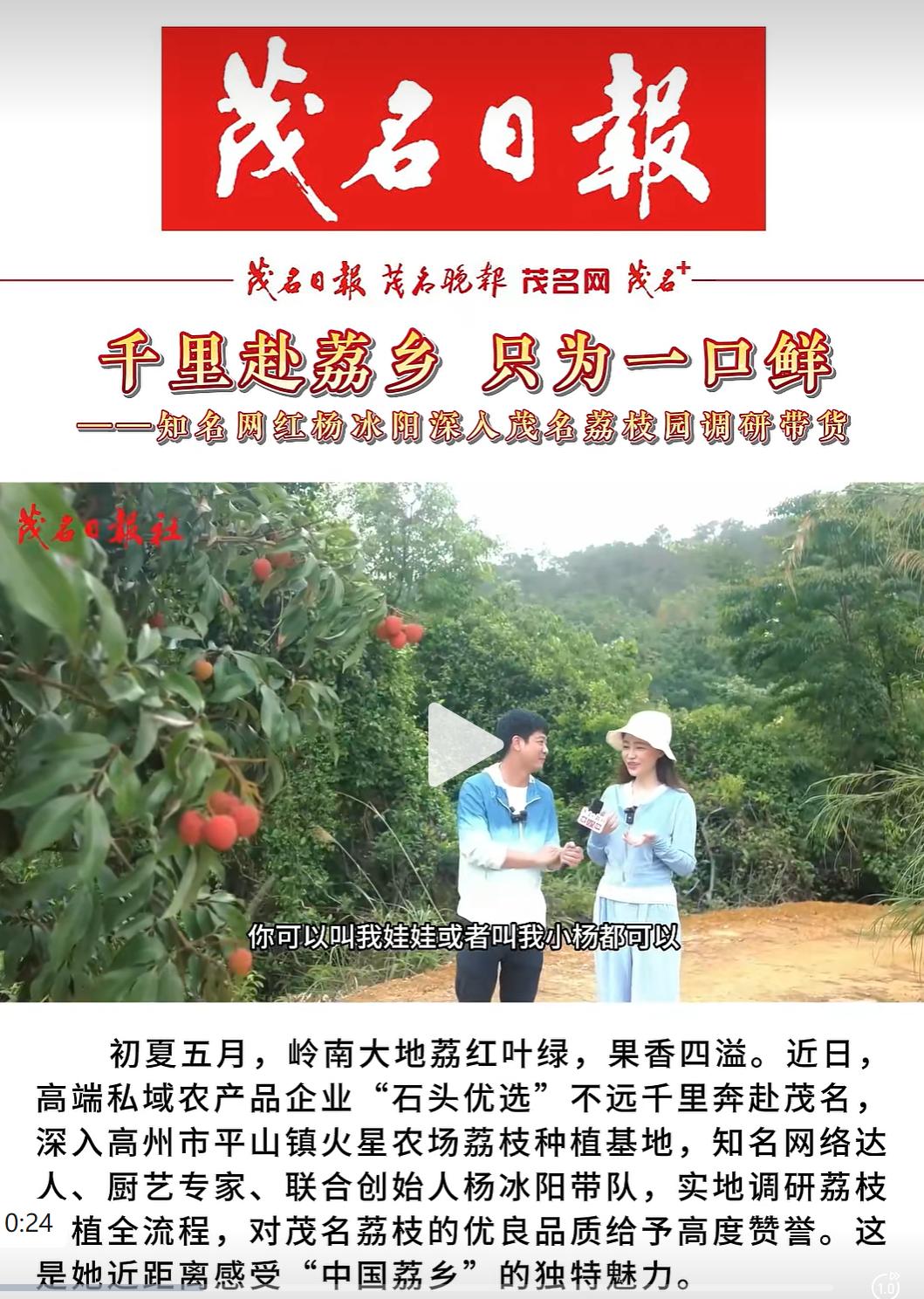 从情感博主到多元转型：Ayawawa 的赛道迭代与观念延续