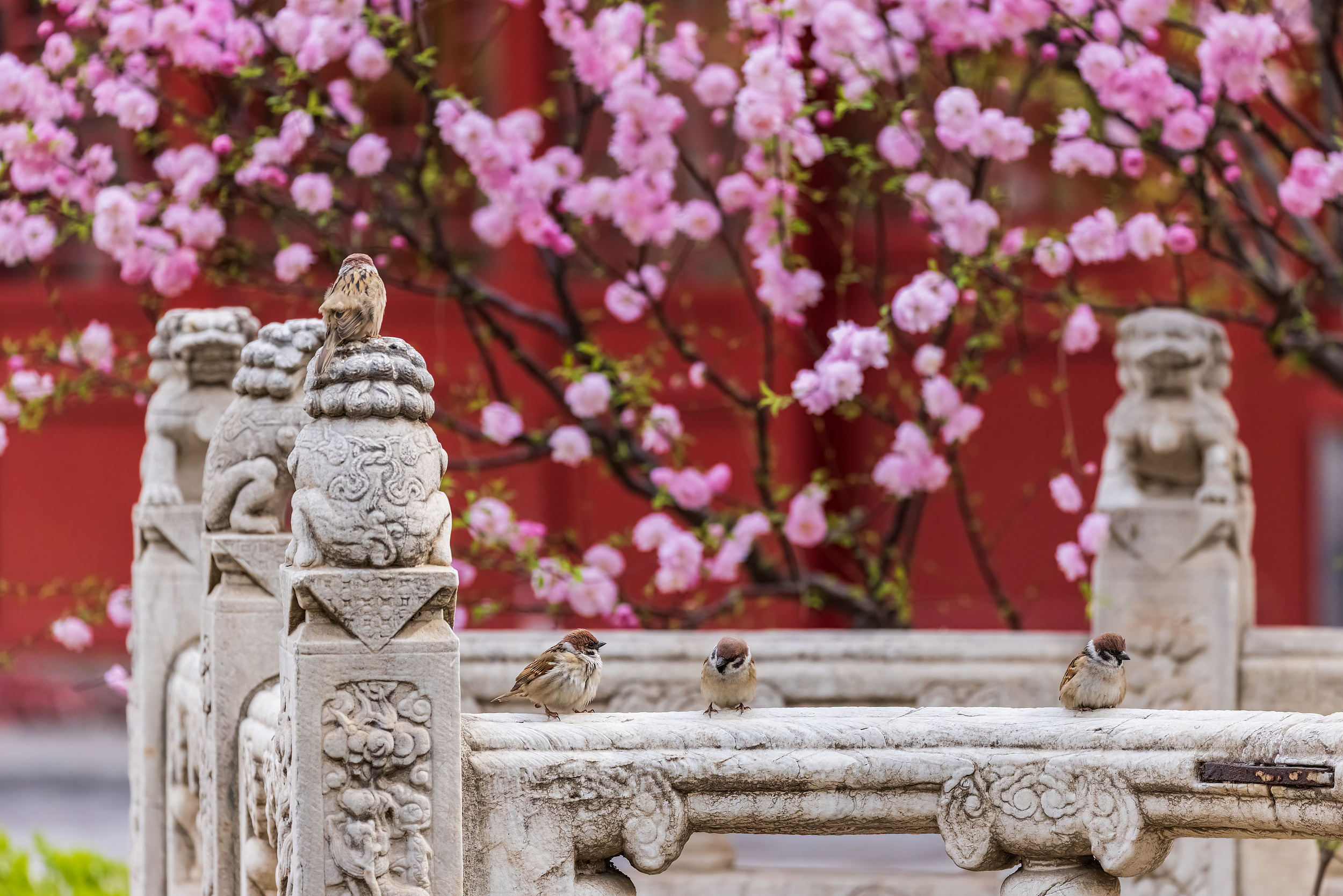 10-11月更新：北京旅行社TOP8综合评测