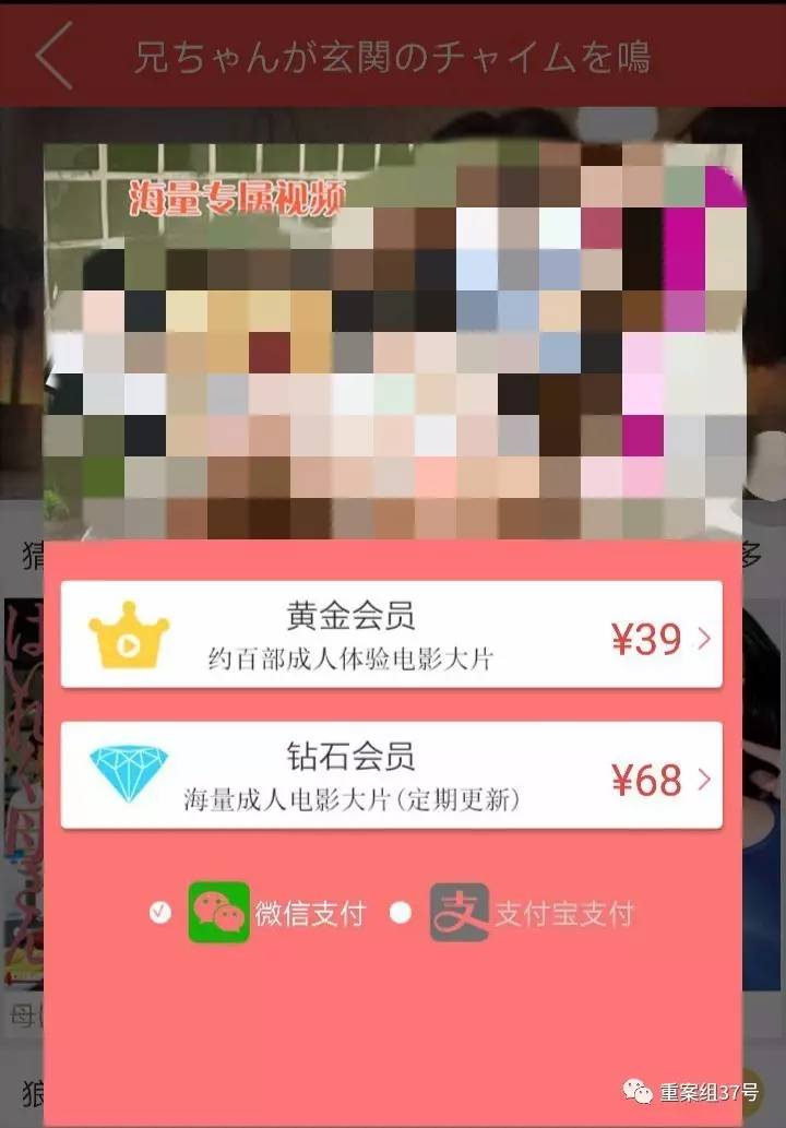 揭秘涉黄APP骗局:20秒小电影作幌 一年收入7个亿