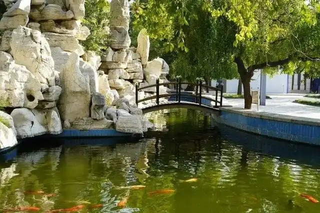 潍坊中学2021年高中招生简章