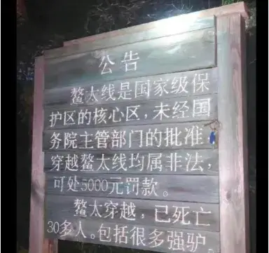 【应急科普】户外徒步事故频发，请接收这份安全指南！