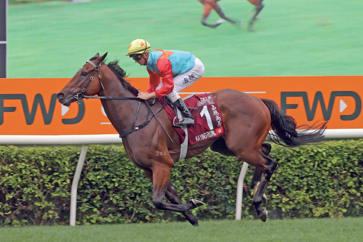 “赛马旅游”丰富香港游玩新生态