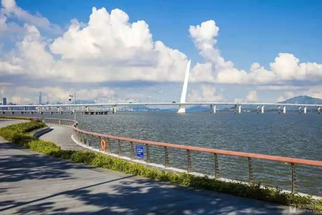 7月21日｜深圳大事件