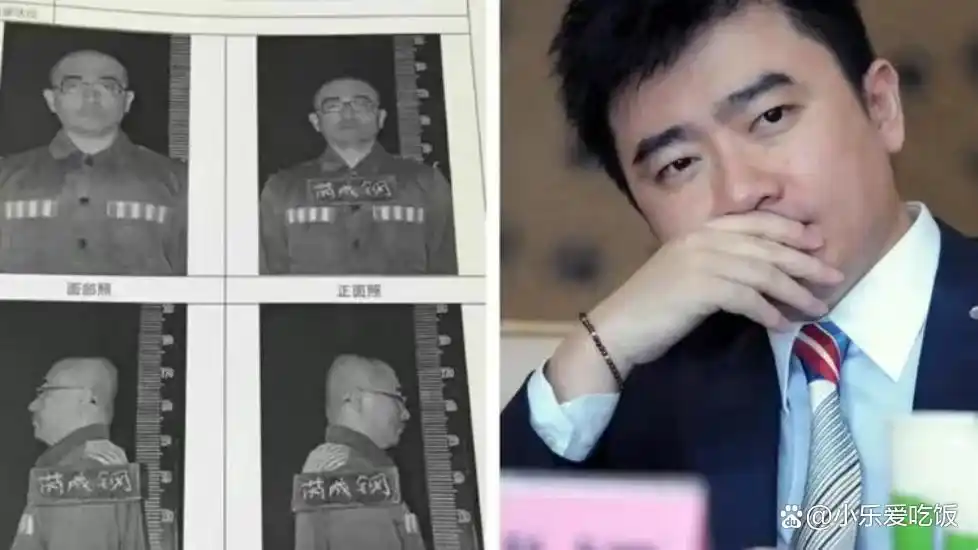 回顾央视名嘴芮成钢：因贪污受贿入狱6年，出狱后年薪300万引争议
