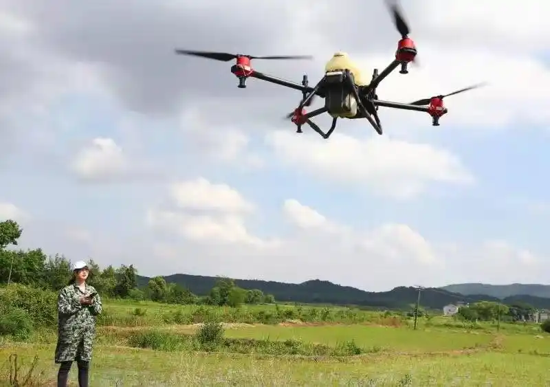 手机画圈卫星审核 普惠金融助江西新农人种稻1800亩