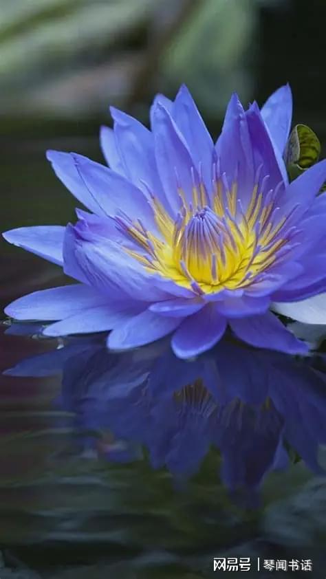 贤哥之后,谁主长春 4