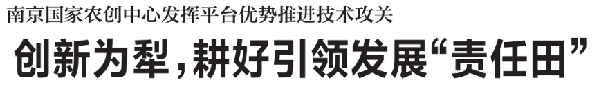 每月一得|新闻标题如何向“新”而行