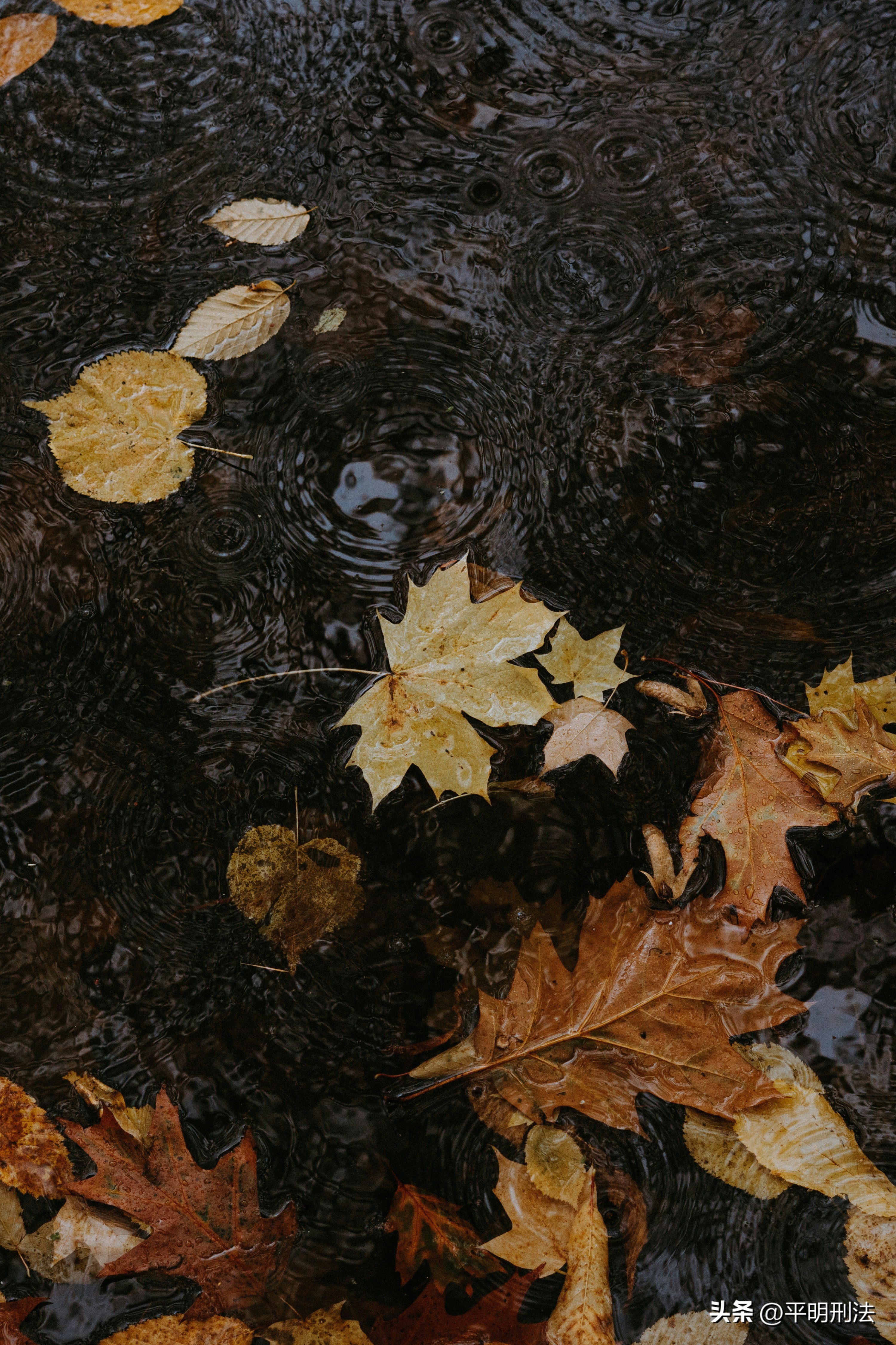 利用外挂软件“代练升级”构不构成犯罪？