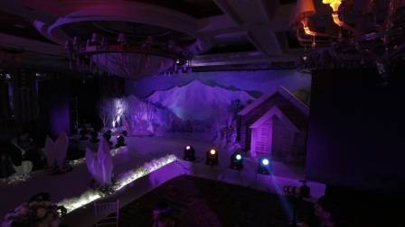 沈阳婚礼主持人 沈阳婚礼司仪 刘博 刘迪 双人作品《彼岸》