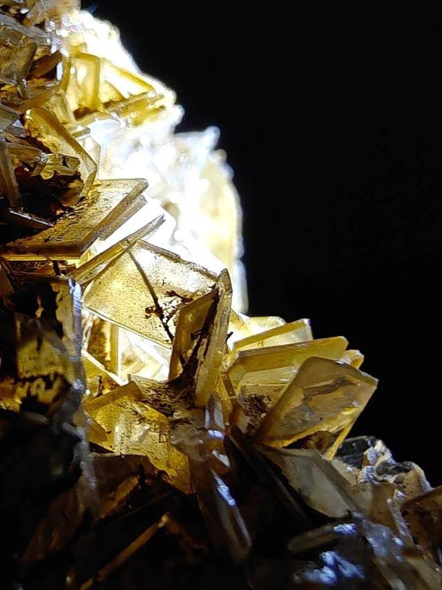 开打！荷兰剥夺中方控制权，除氟石和铋外，北京还有5张反制王牌