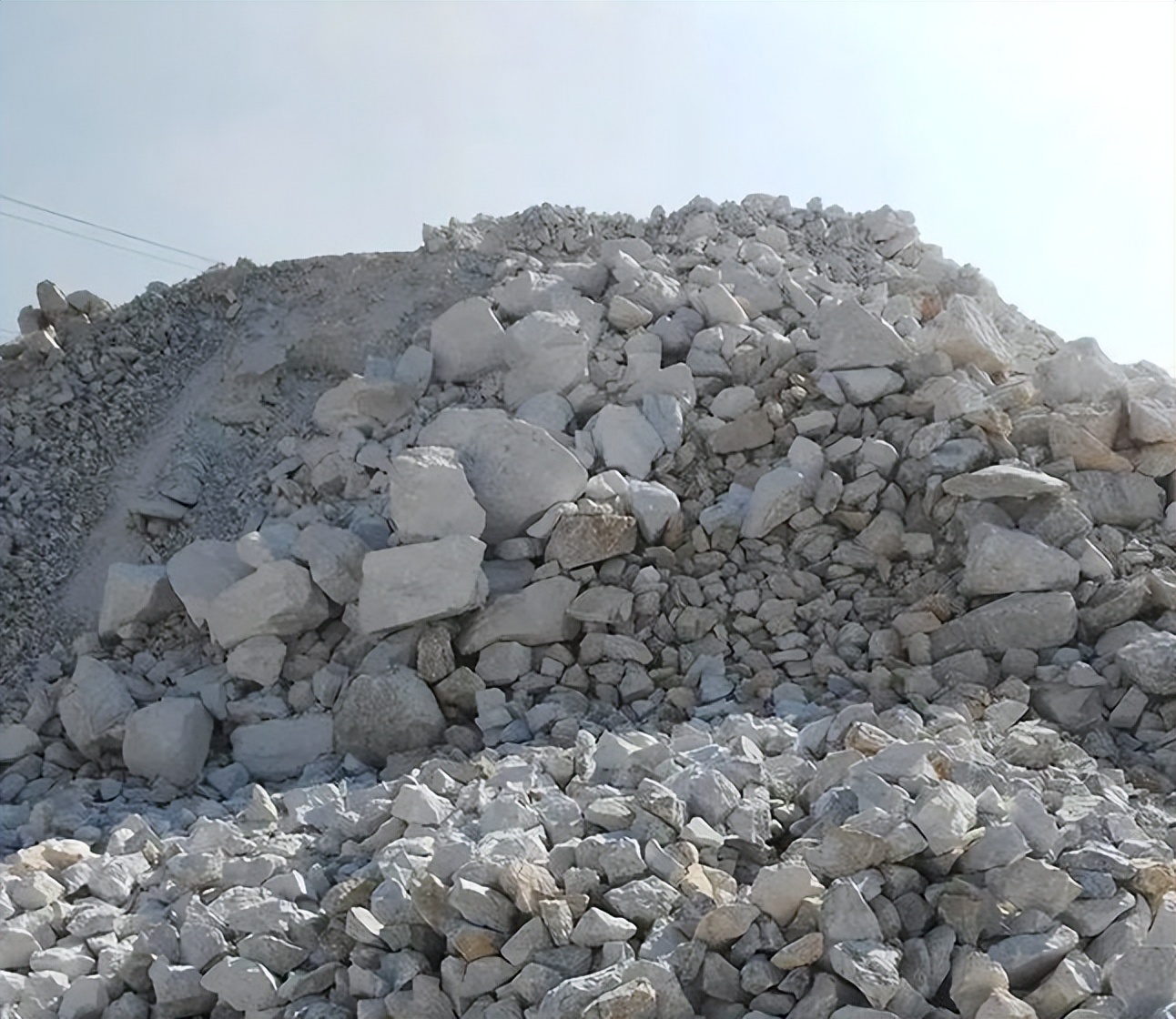 开打！荷兰剥夺中方控制权，除氟石和铋外，北京还有5张反制王牌