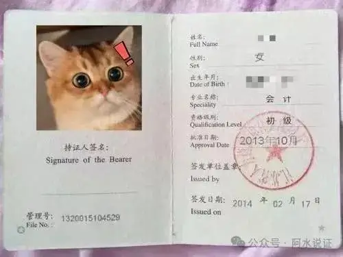 解锁 2025 出纳新高度，这些证书你不容错过