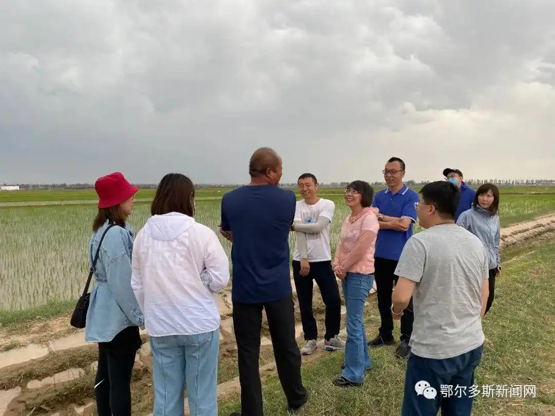 因为这件事,人民网、新华网、中国新闻网的记者都来鄂尔多斯了!