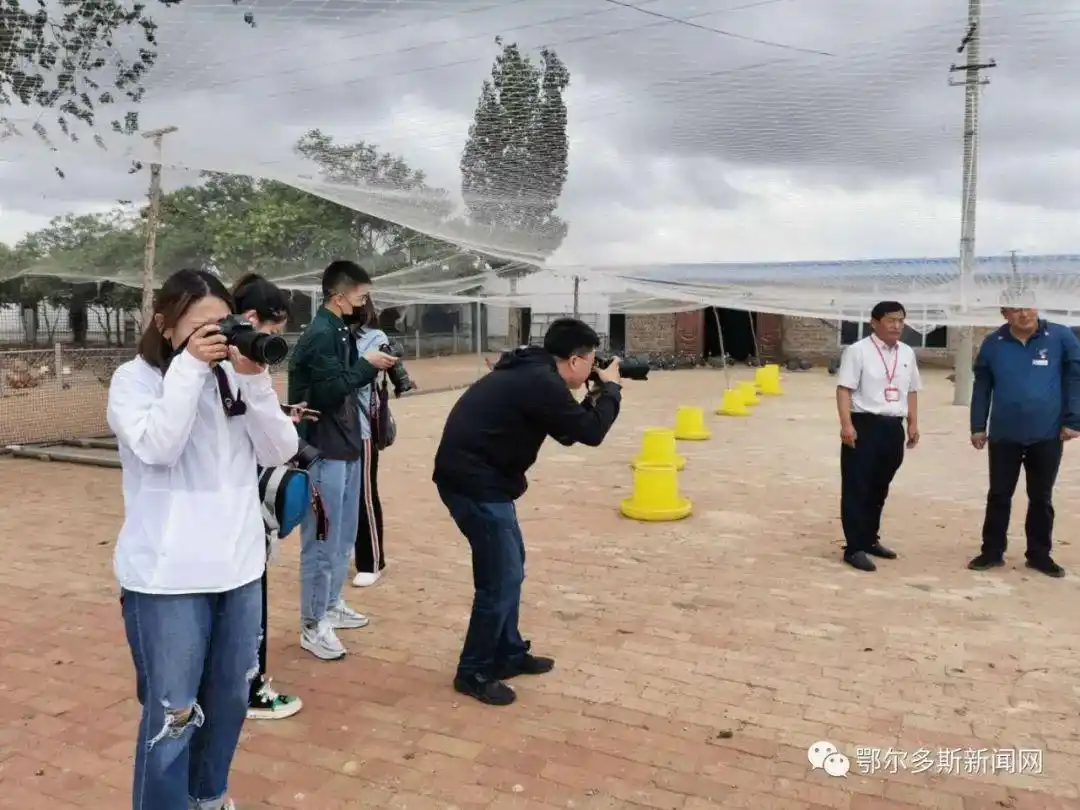 因为这件事,人民网、新华网、中国新闻网的记者都来鄂尔多斯了!