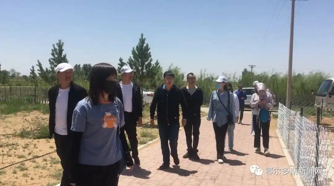 因为这件事,人民网、新华网、中国新闻网的记者都来鄂尔多斯了!