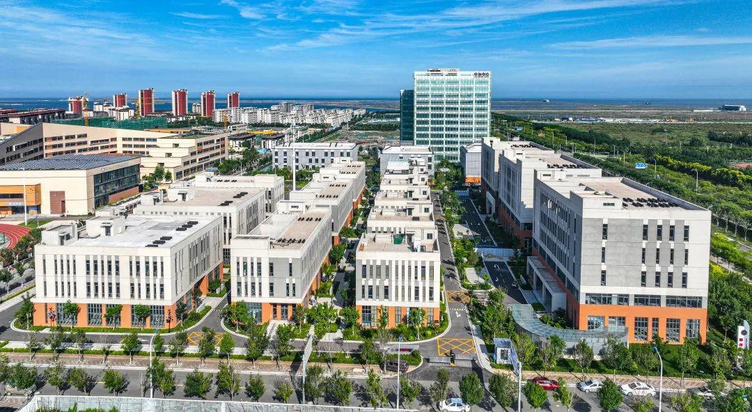 绿色发展 滨城“碳”路 | 中新天津生态城向世界展示“低碳经验”