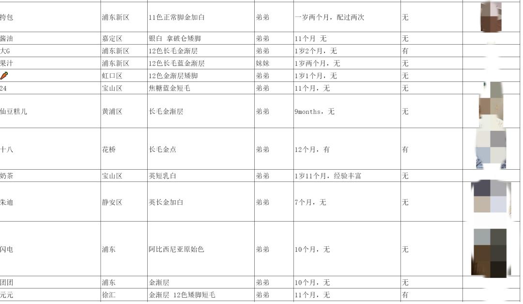 被催婚的年轻人,开始给宠物「包办爱情」