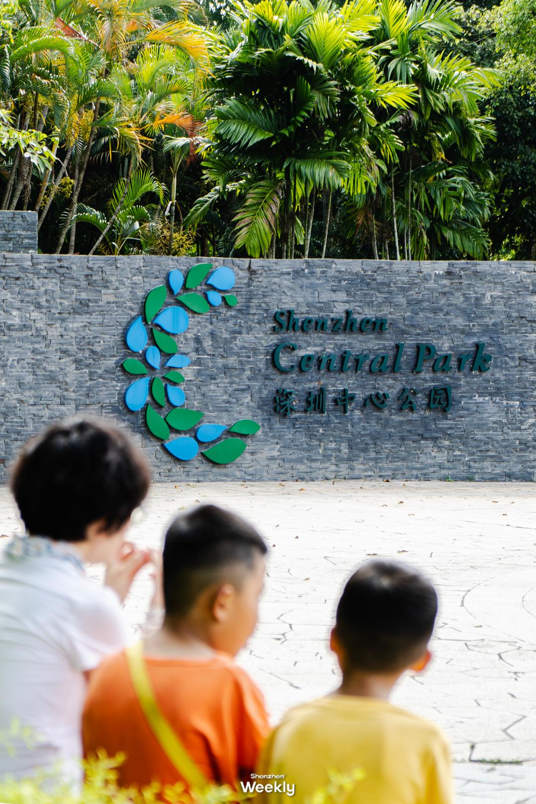 华强北,不止是电子产品的天堂