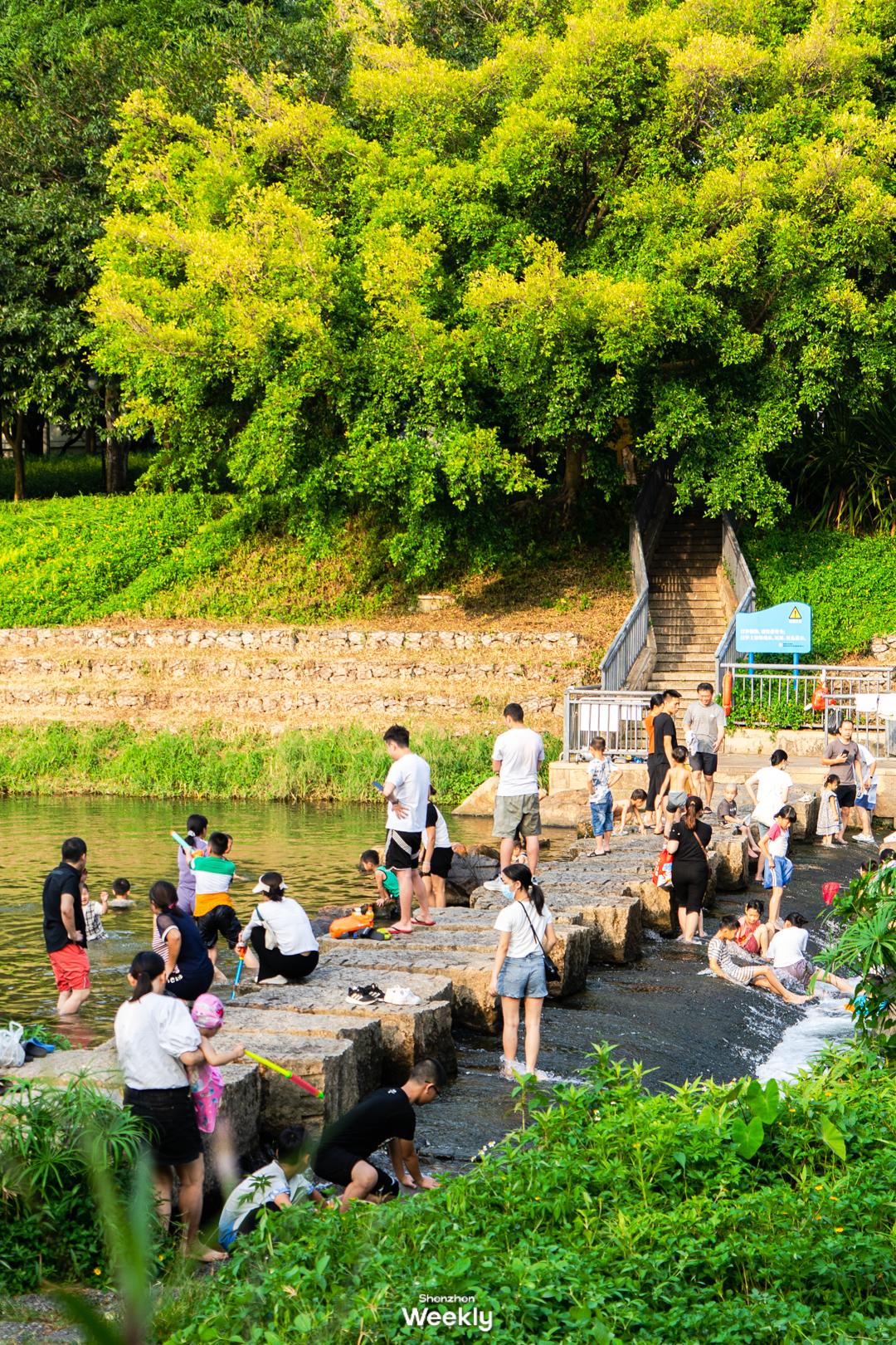 华强北,不止是电子产品的天堂