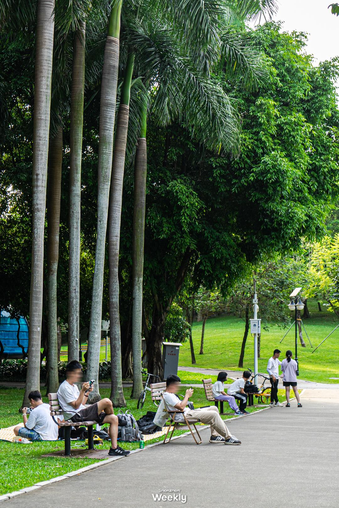 华强北,不止是电子产品的天堂