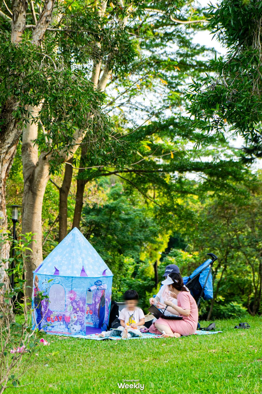 华强北,不止是电子产品的天堂