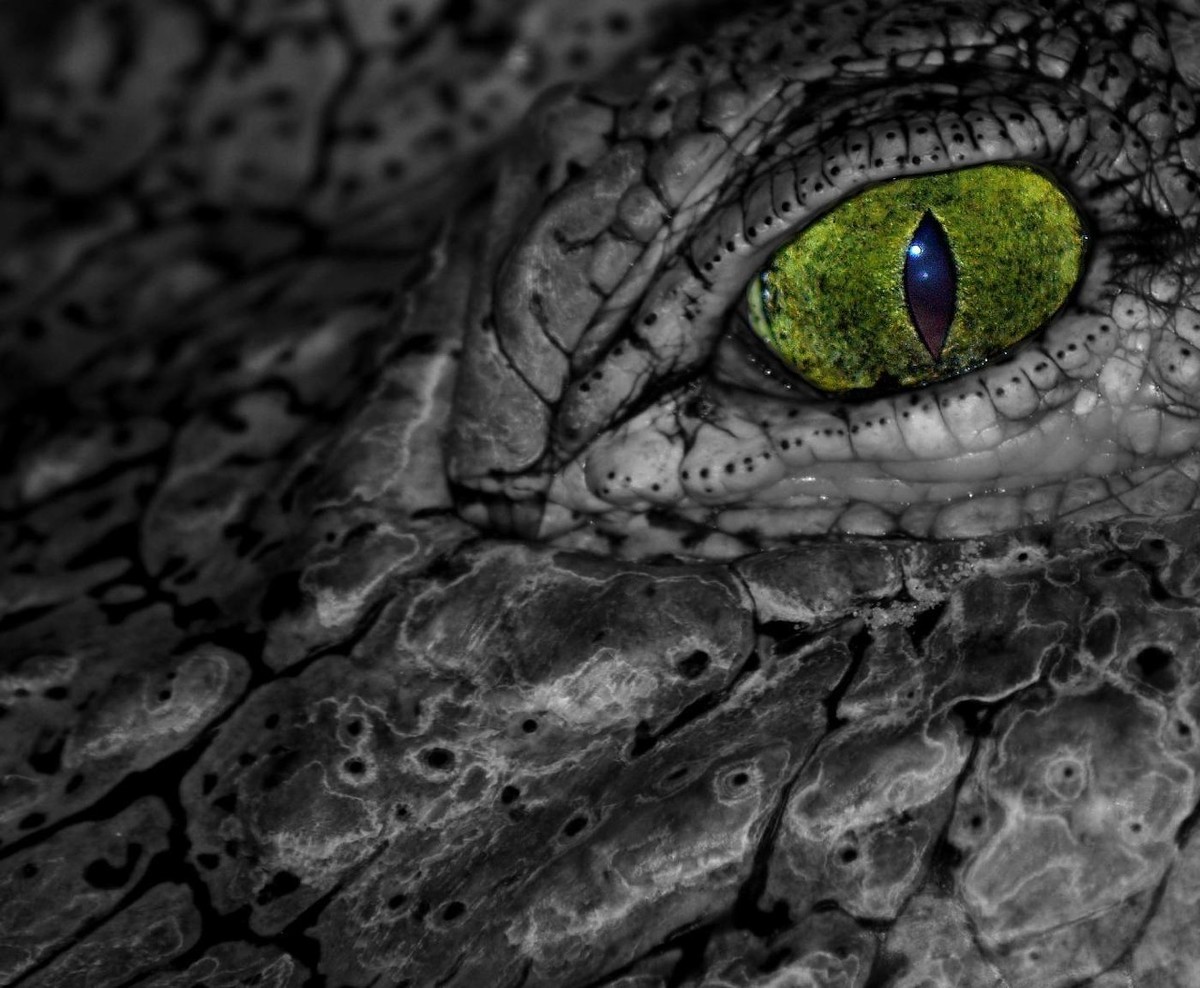 抗击疫情，这些写材料标题的神操作