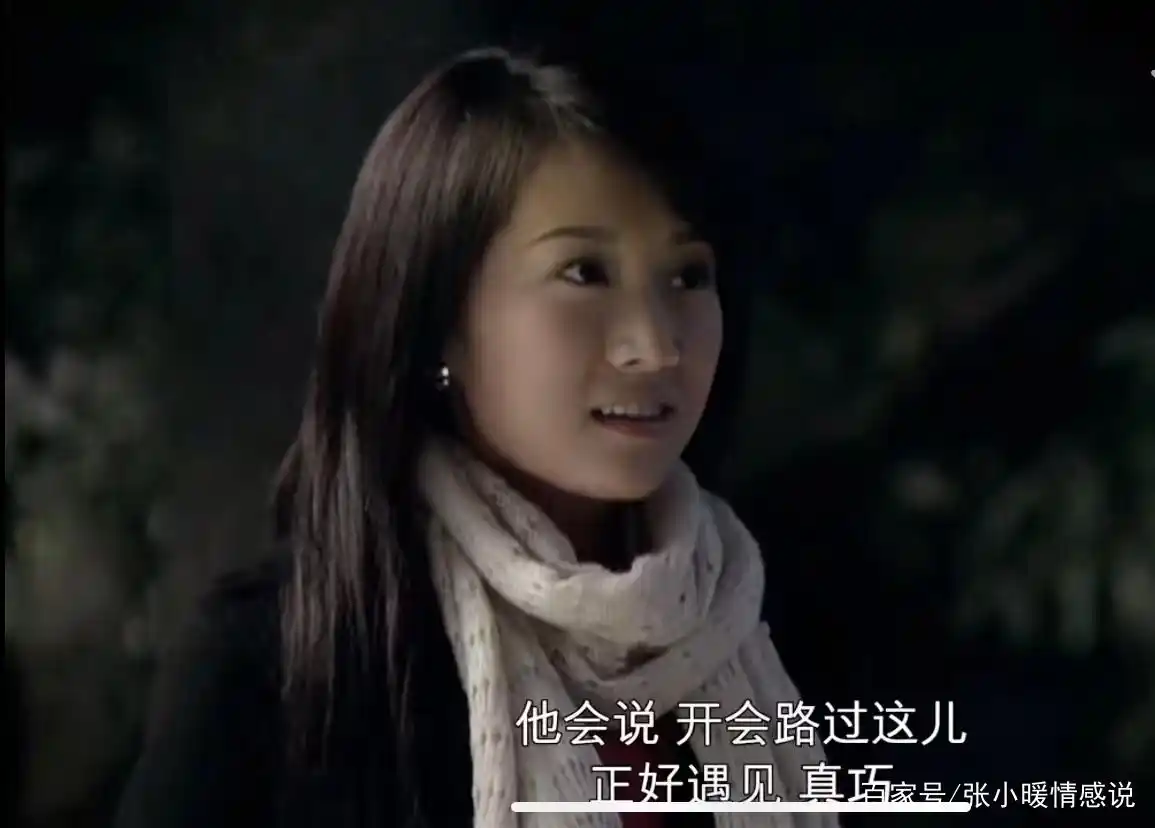 《蜗居》：宋思明副驾上的一抹处子血，彻底撕开了海藻隐藏的欲望