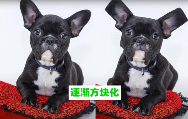 “没光追咋办”我的世界:P图大佬出手了,这才是“恐怖”矿道