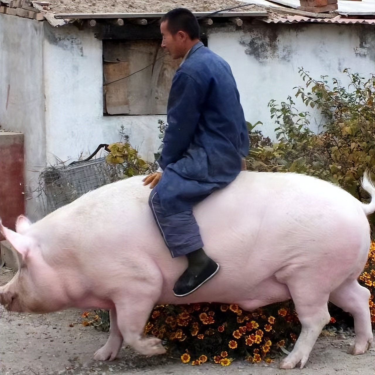 《我的世界》如何合成马鞍?这个合成配方还要从13年前说起!