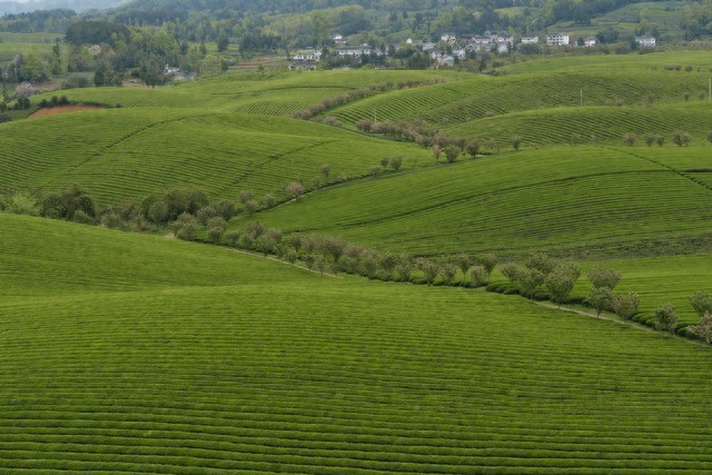 2026立春:凌晨4点交节,六九头双春开端,60年一遇吉兆