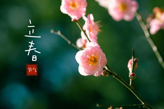 2026立春:凌晨4点交节,六九头双春开端,60年一遇吉兆