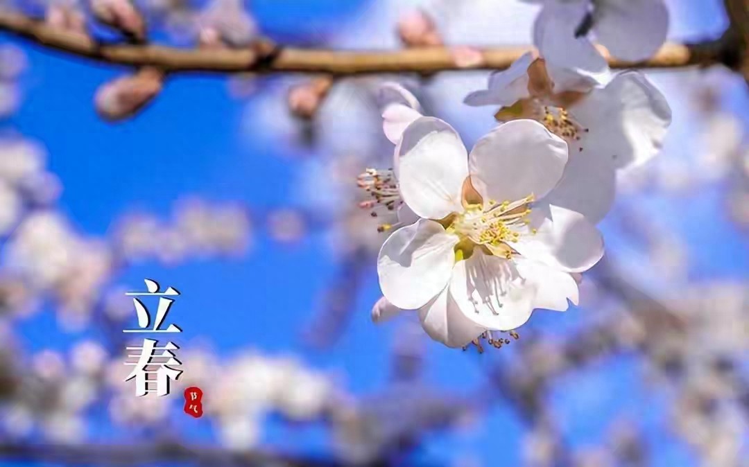 2026立春时间,4种人要“躲春”,记得做3事忌3事,新年开个好头